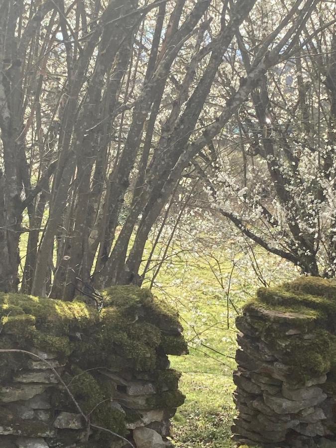 Mazille Le Jardin De Theleme "Charme Discret Pour Un Nid Douillet"ヴィラ エクステリア 写真